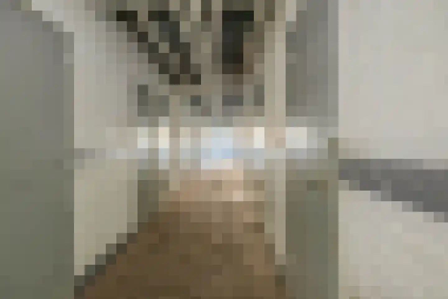 Vondelstraat 42 Zoetermeer thumbnail 27