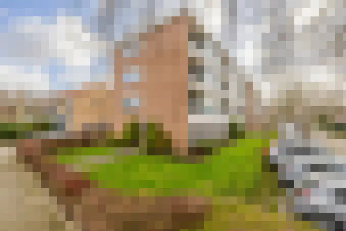 Vondelstraat 42 Zoetermeer thumbnail 28