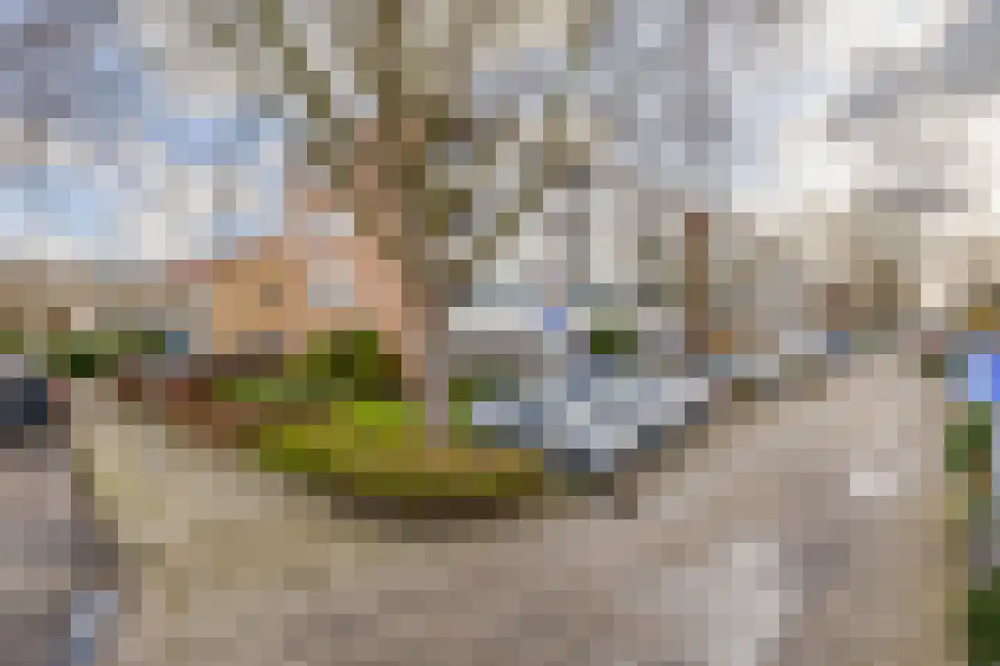 Vondelstraat 42 Zoetermeer thumbnail 4
