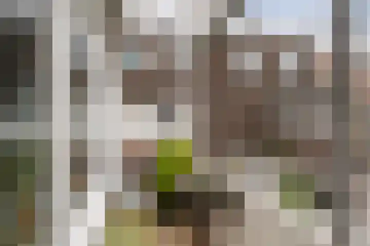 Vondelstraat 43 Vlaardingen thumbnail 15