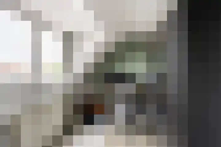Vondelstraat 43 Vlaardingen thumbnail 21