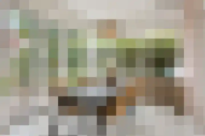 Vondelstraat 44 Hengelo thumbnail 16