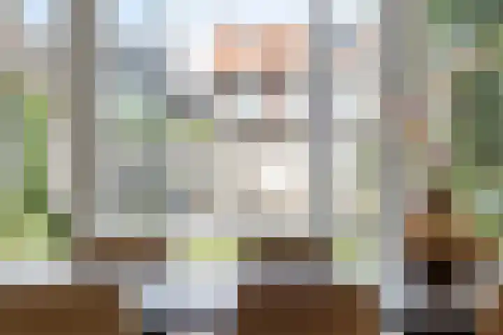 Vondelstraat 44 Hengelo thumbnail 17