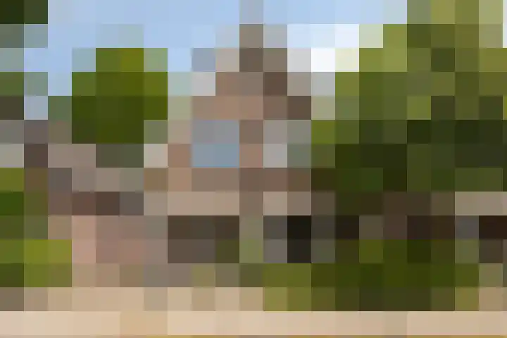 Vondelstraat 44 Hengelo thumbnail 4