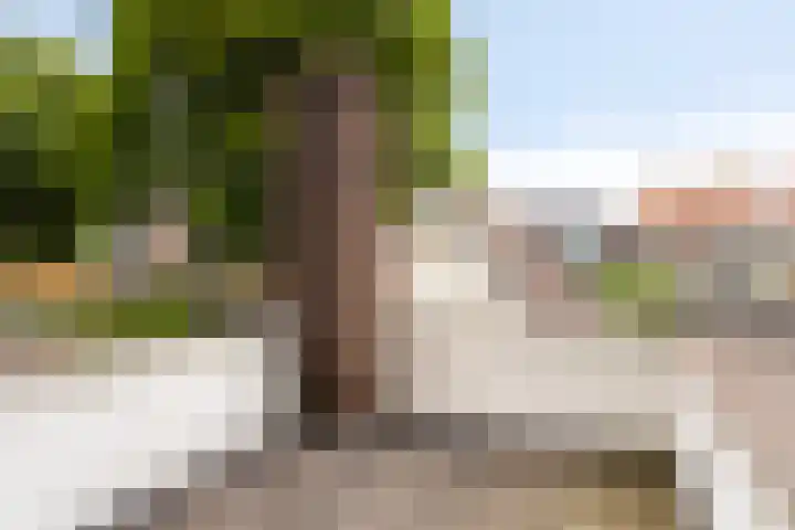 Vondelstraat 44 Hengelo thumbnail 41