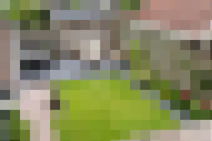 Vondelstraat 44 Hengelo thumbnail 43