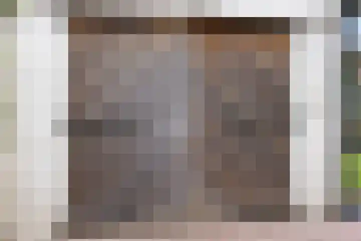 Vondelstraat 44 Hengelo thumbnail 46