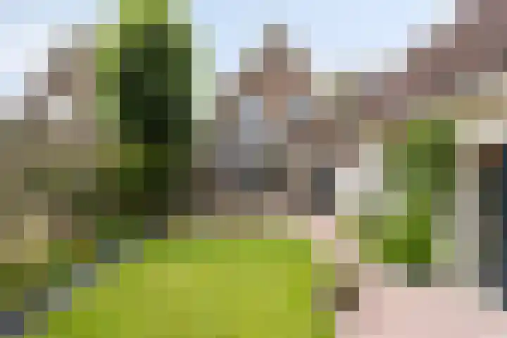 Vondelstraat 44 Hengelo thumbnail 48