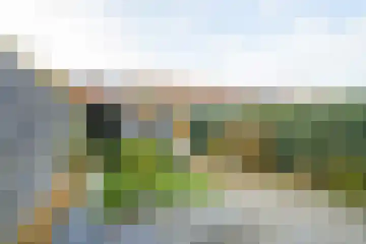 Vondelstraat 47 Breda thumbnail 32