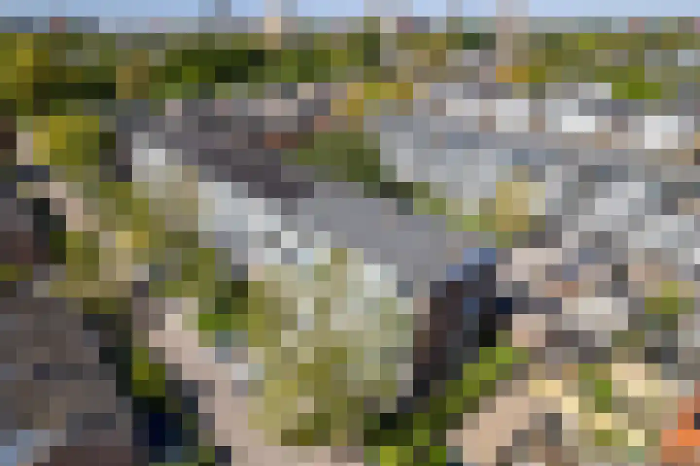 Vondelstraat 50 Zoetermeer thumbnail 32