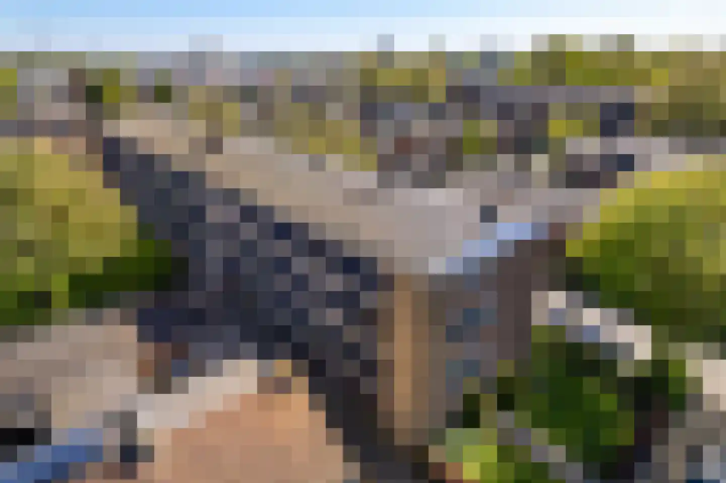 Vondelstraat 50 Zoetermeer thumbnail 35