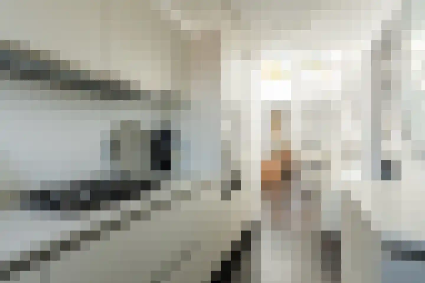 Vondelstraat 52 D Amsterdam thumbnail 26