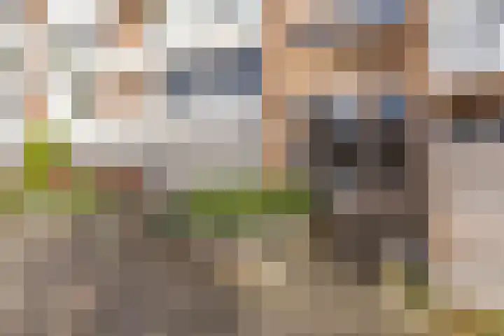 Vondelstraat 56 Zoetermeer thumbnail 30