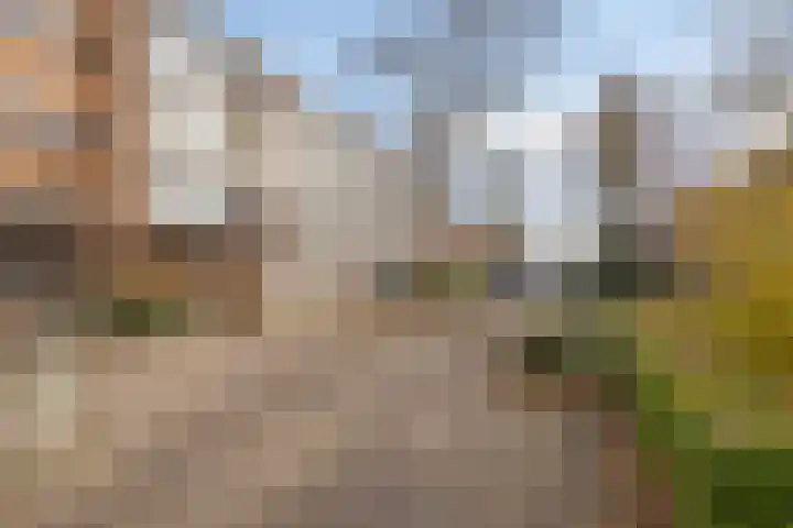 Vondelstraat 56 Zoetermeer thumbnail 31