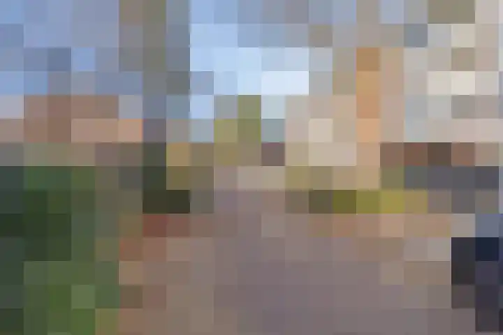 Vondelstraat 56 Zoetermeer thumbnail 32