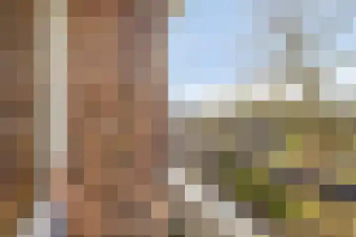 Vondelstraat 56 Zoetermeer thumbnail 5