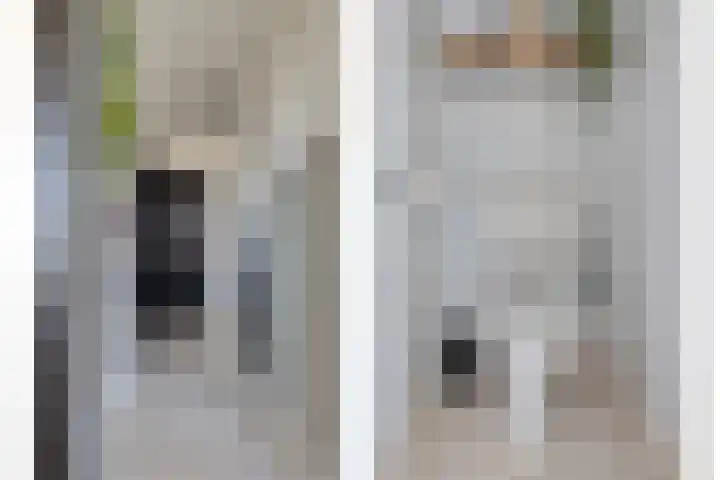 Vondelstraat 56 Zoetermeer thumbnail 7