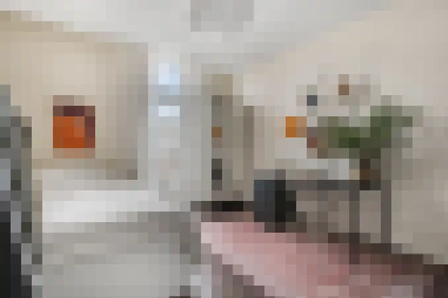 Vondelstraat 57 A Nijmegen thumbnail 18
