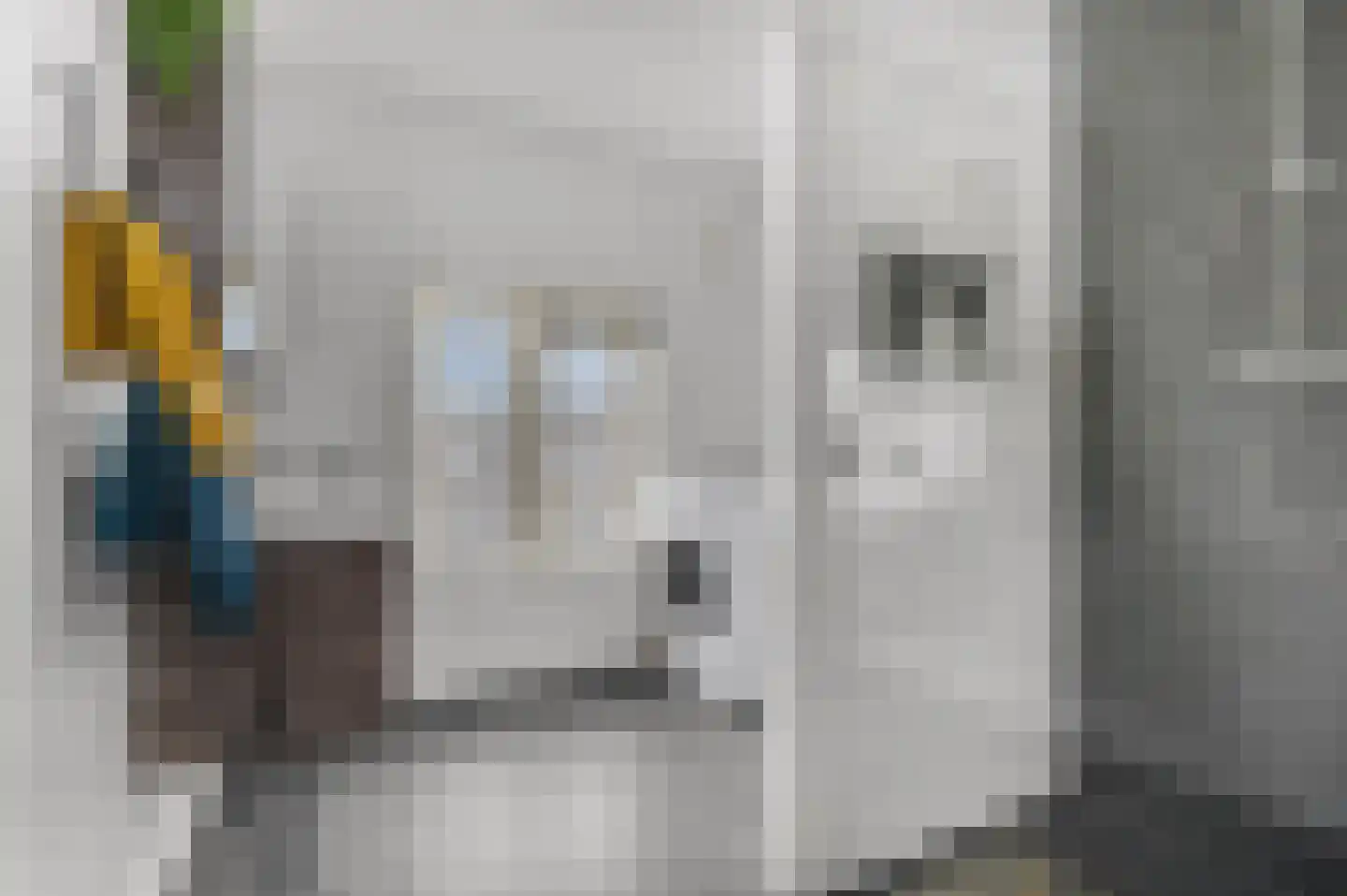 Vondelstraat 57 A Nijmegen thumbnail 4