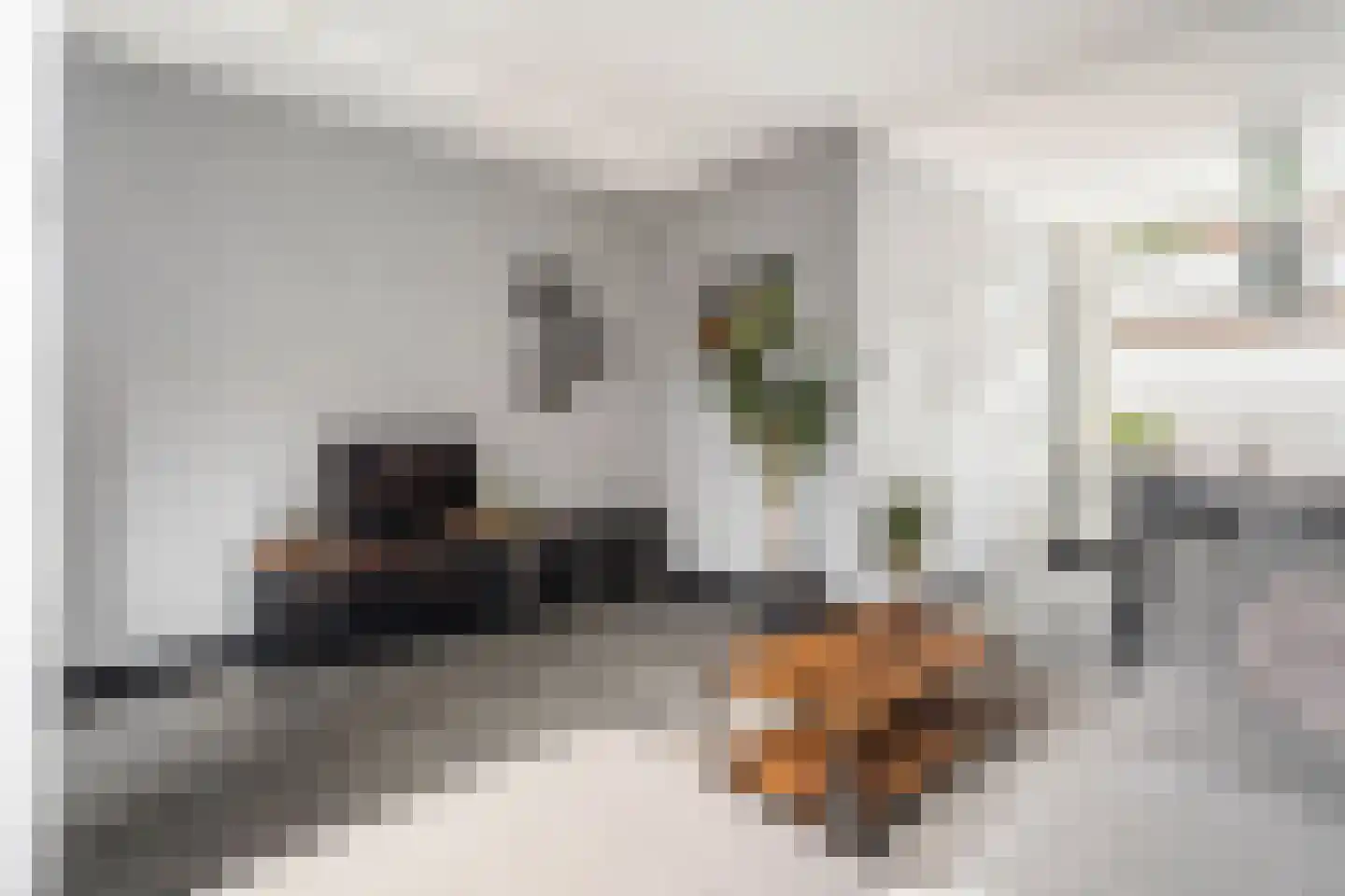 Vondelstraat 57 Gouda thumbnail 10