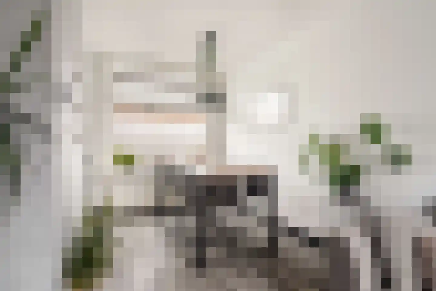 Vondelstraat 57 Gouda thumbnail 13