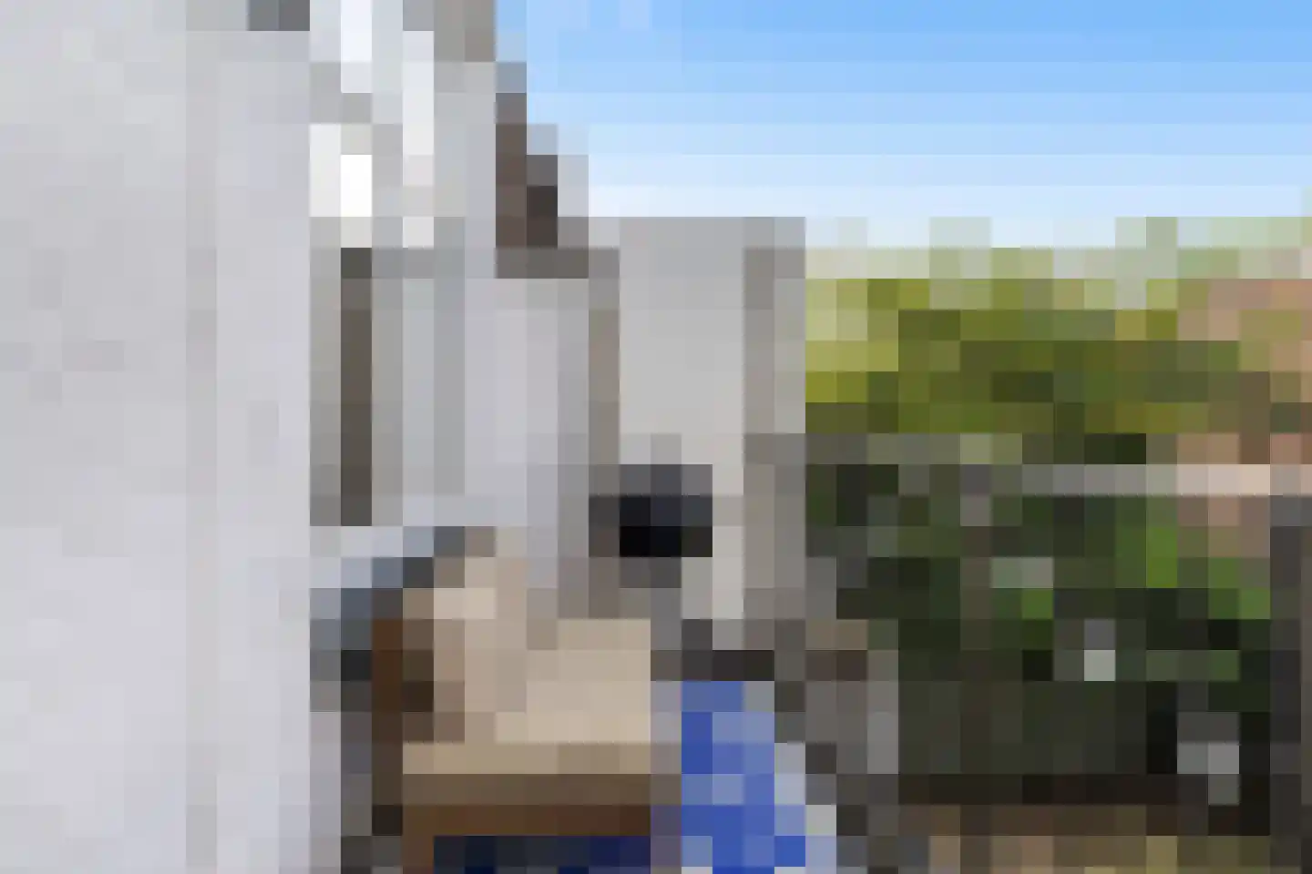Vondelstraat 59 Dordrecht thumbnail 5