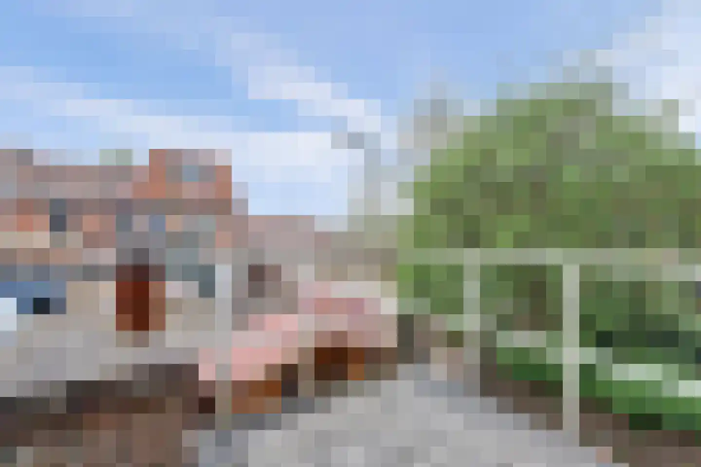 Vondelstraat 59 Gouda thumbnail 13