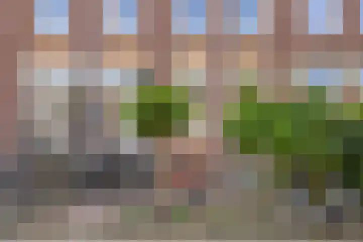 Vondelstraat 59 Nijmegen thumbnail 4