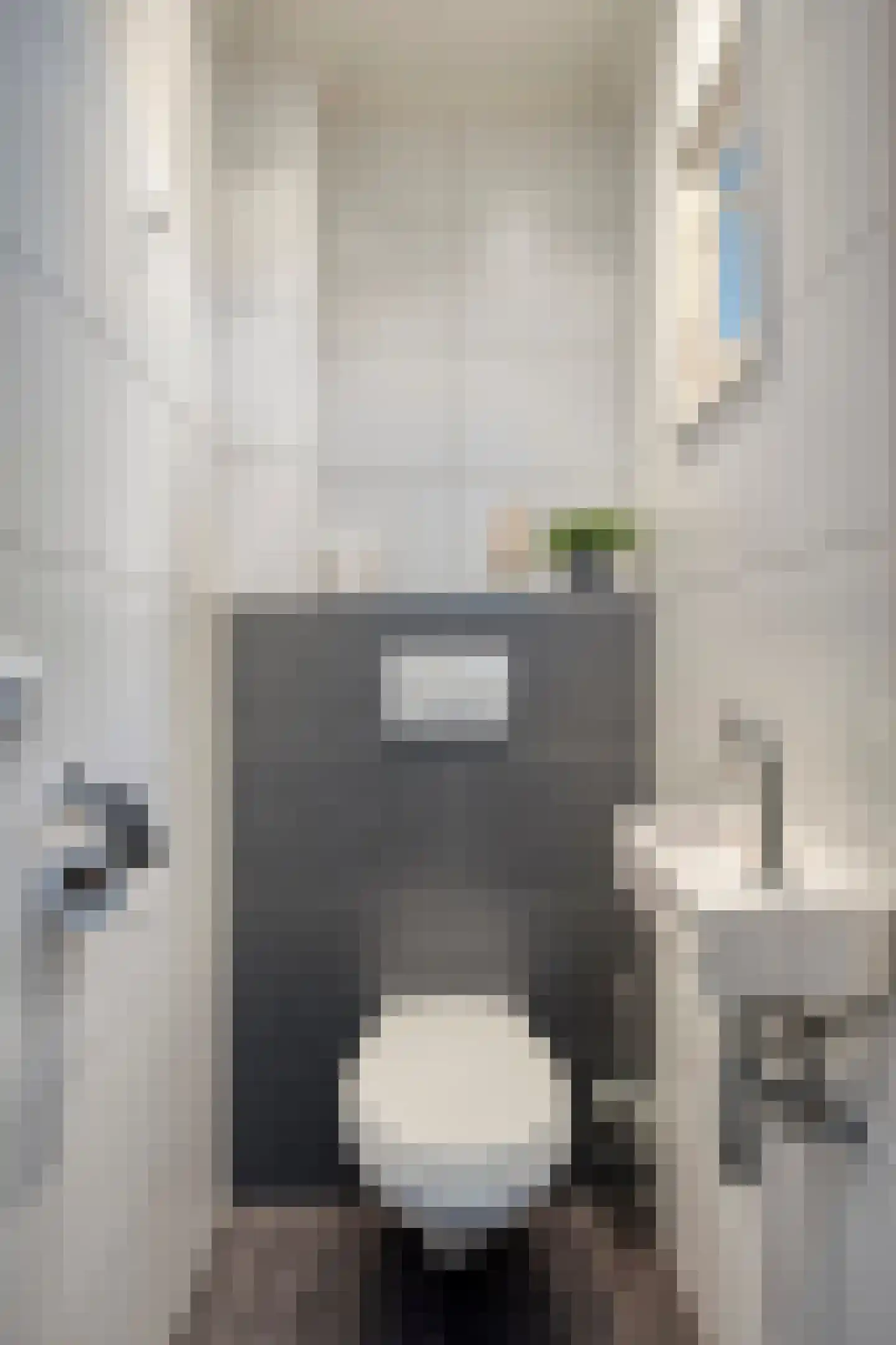 Vondelstraat 6 Aalten thumbnail 15