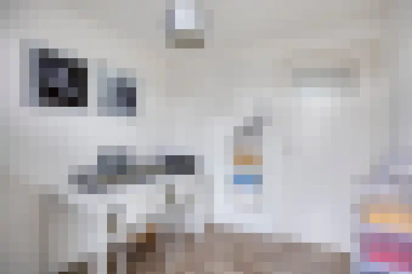 Vondelstraat 6 Aalten thumbnail 22