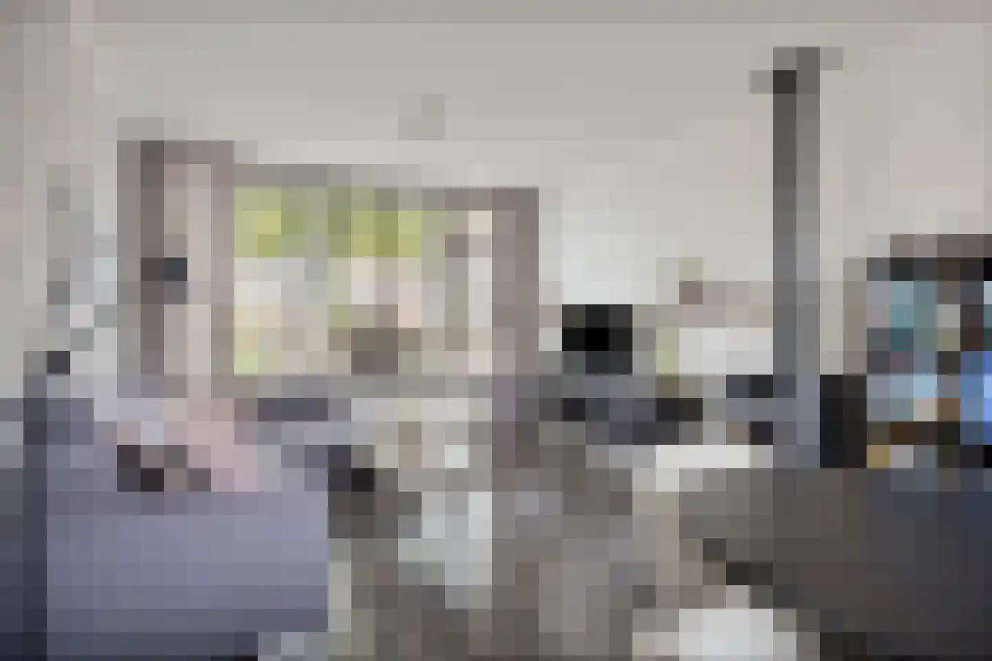 Vondelstraat 6 Aalten thumbnail 5