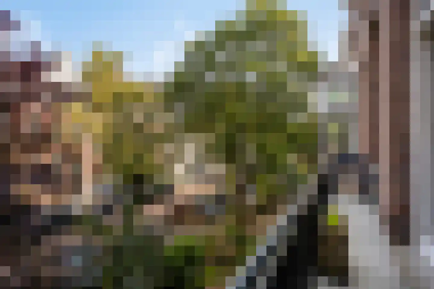 Vondelstraat 61 B Amsterdam thumbnail 7