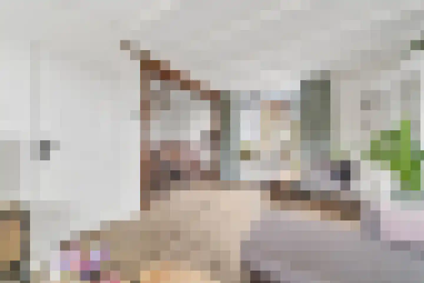 Vondelstraat 64 Nijverdal thumbnail 10