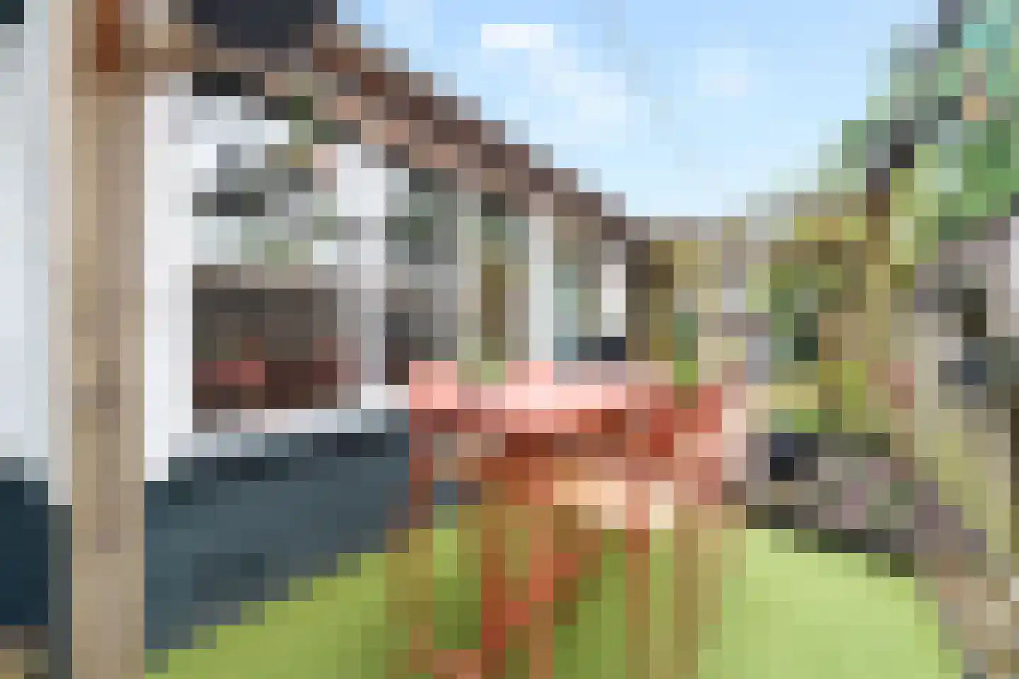 Vondelstraat 64 Nijverdal thumbnail 33