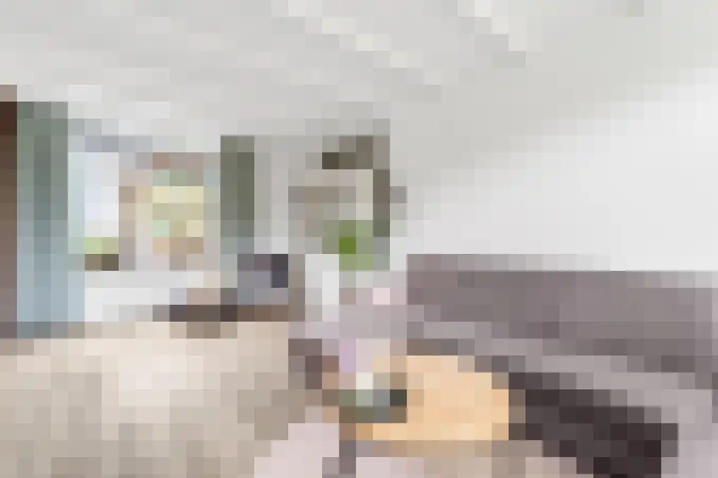 Vondelstraat 64 Nijverdal thumbnail 9