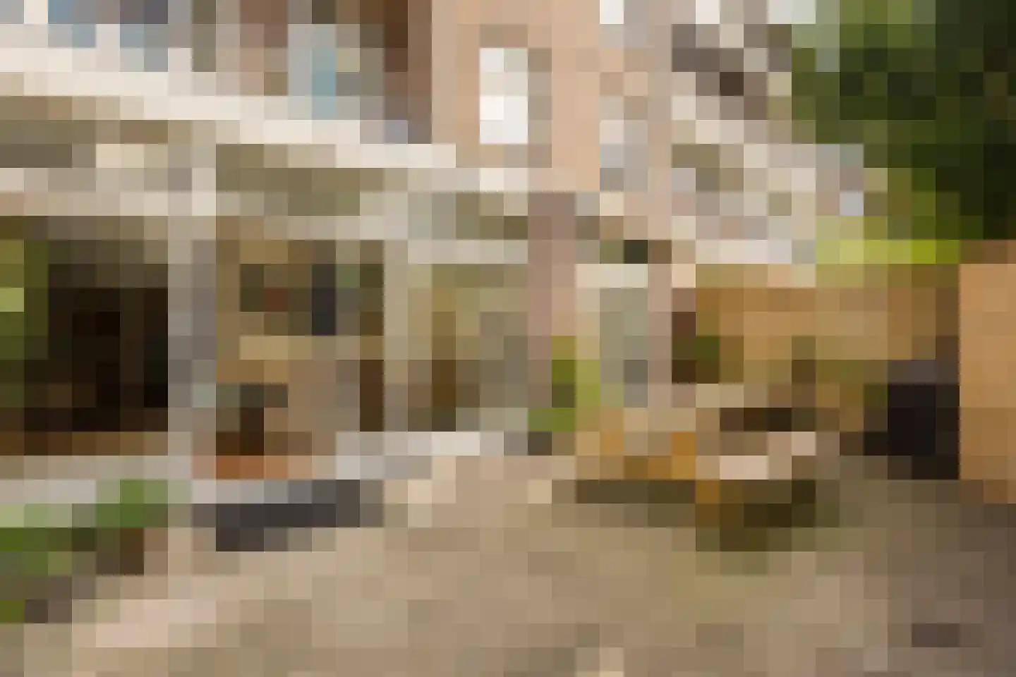 Vondelstraat 66 Den Haag thumbnail 17