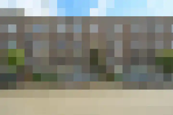 Vondelstraat 68 Den Haag thumbnail 6