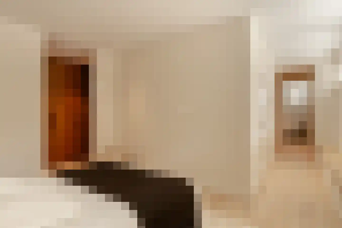 Vondelstraat 70 2 Amsterdam thumbnail 27