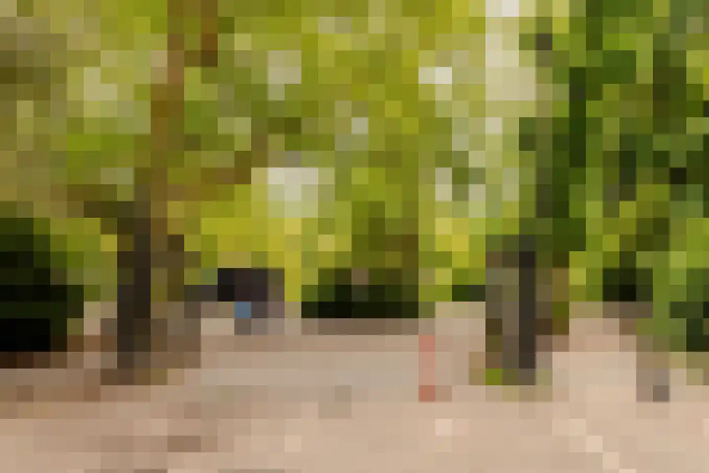 Vondelstraat 70 2 Amsterdam thumbnail 37