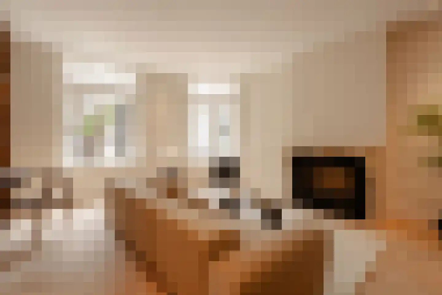 Vondelstraat 70 2 Amsterdam thumbnail 5