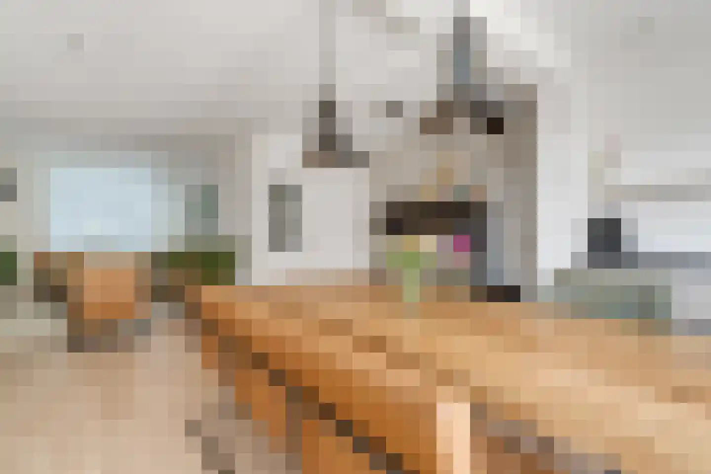 Vondelstraat 71 Nijverdal thumbnail 9