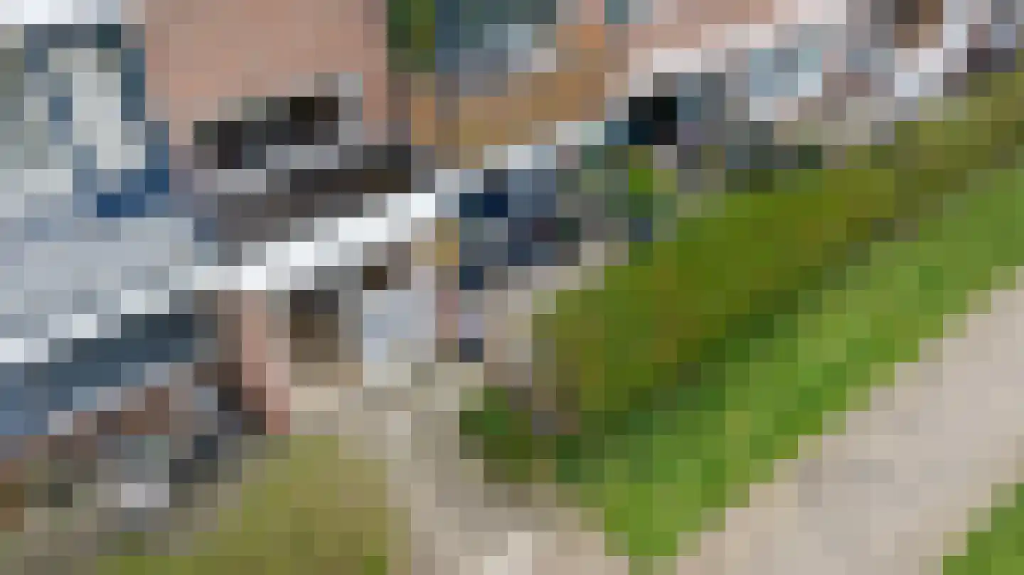 Vondelstraat 72 Doetinchem thumbnail 18