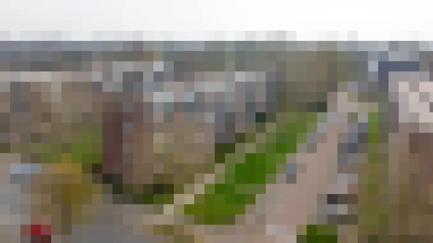 Vondelstraat 72 Doetinchem thumbnail 19