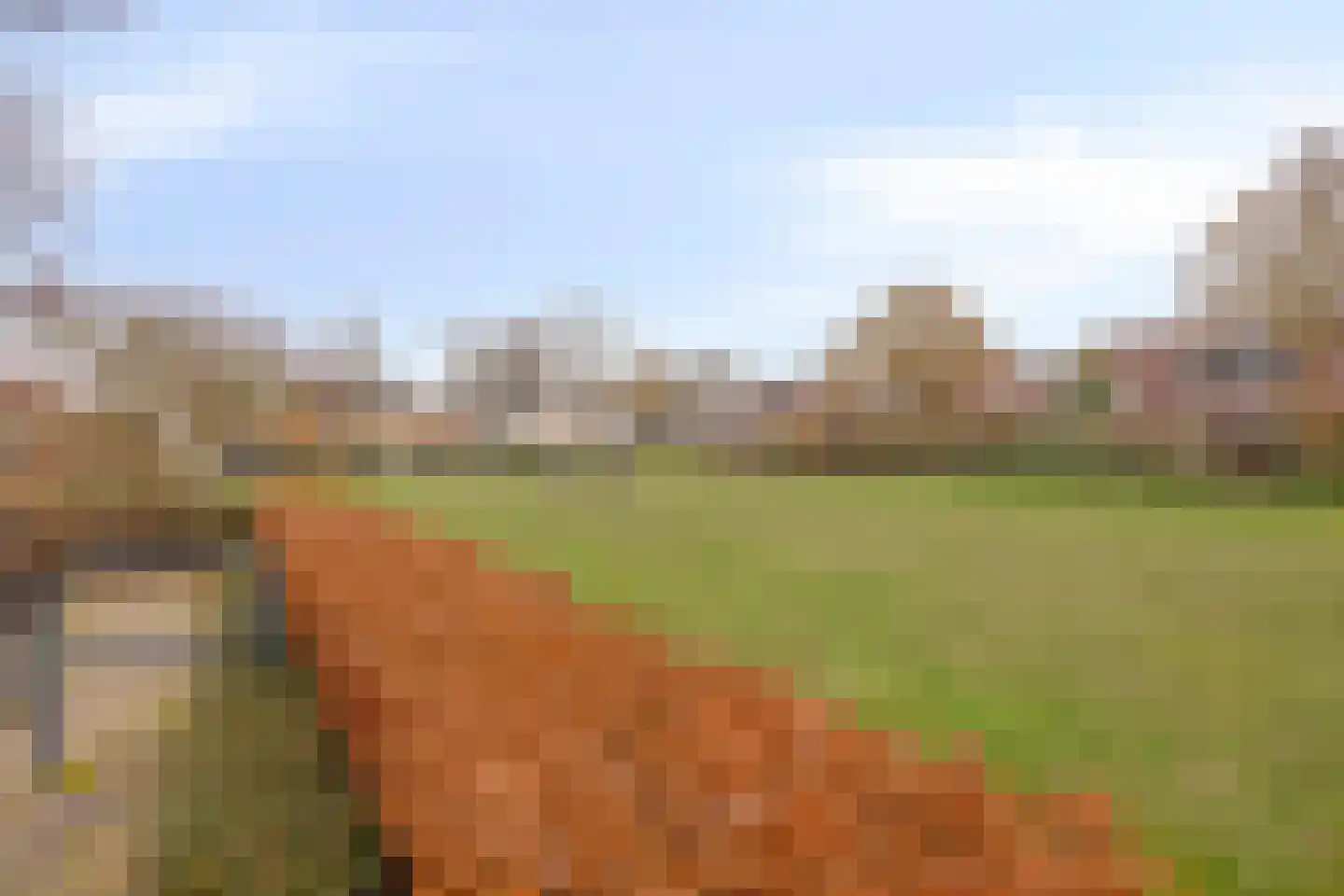 Vondelstraat 73 Maarssen thumbnail 37