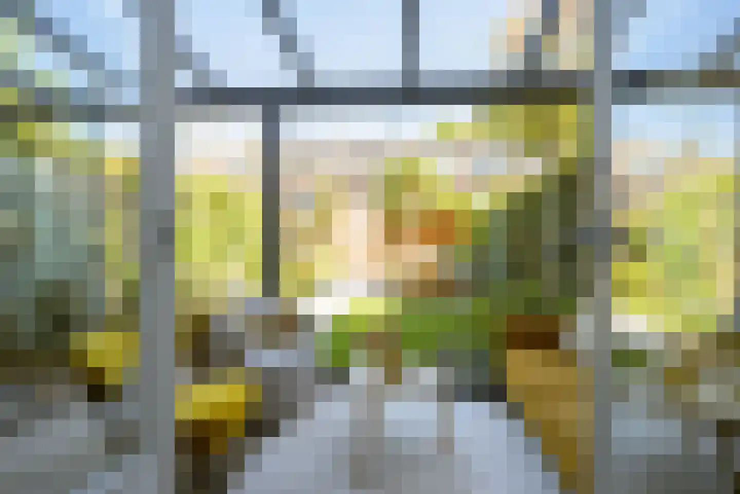 Vondelstraat 74 Breda thumbnail 35
