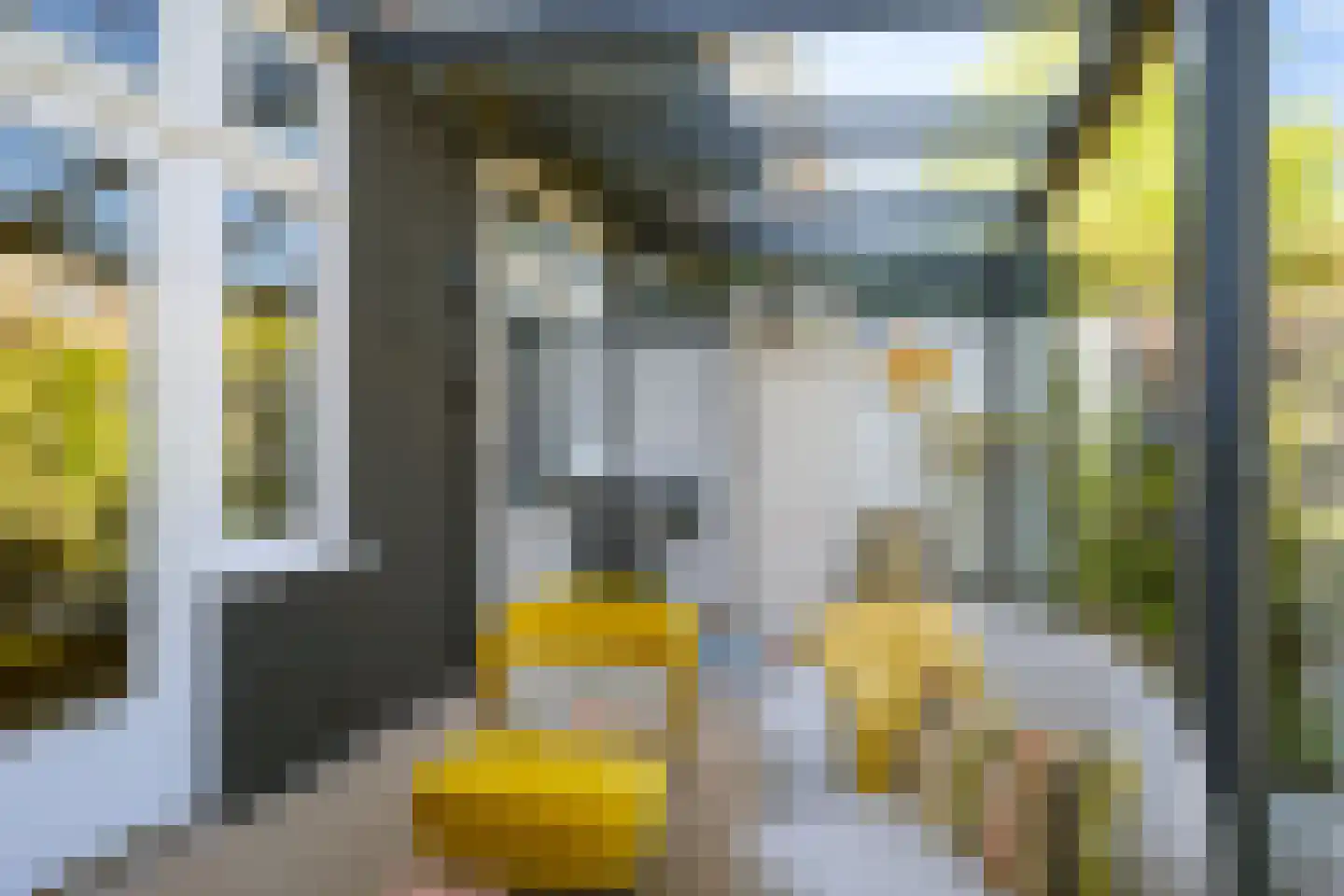 Vondelstraat 74 Breda thumbnail 37