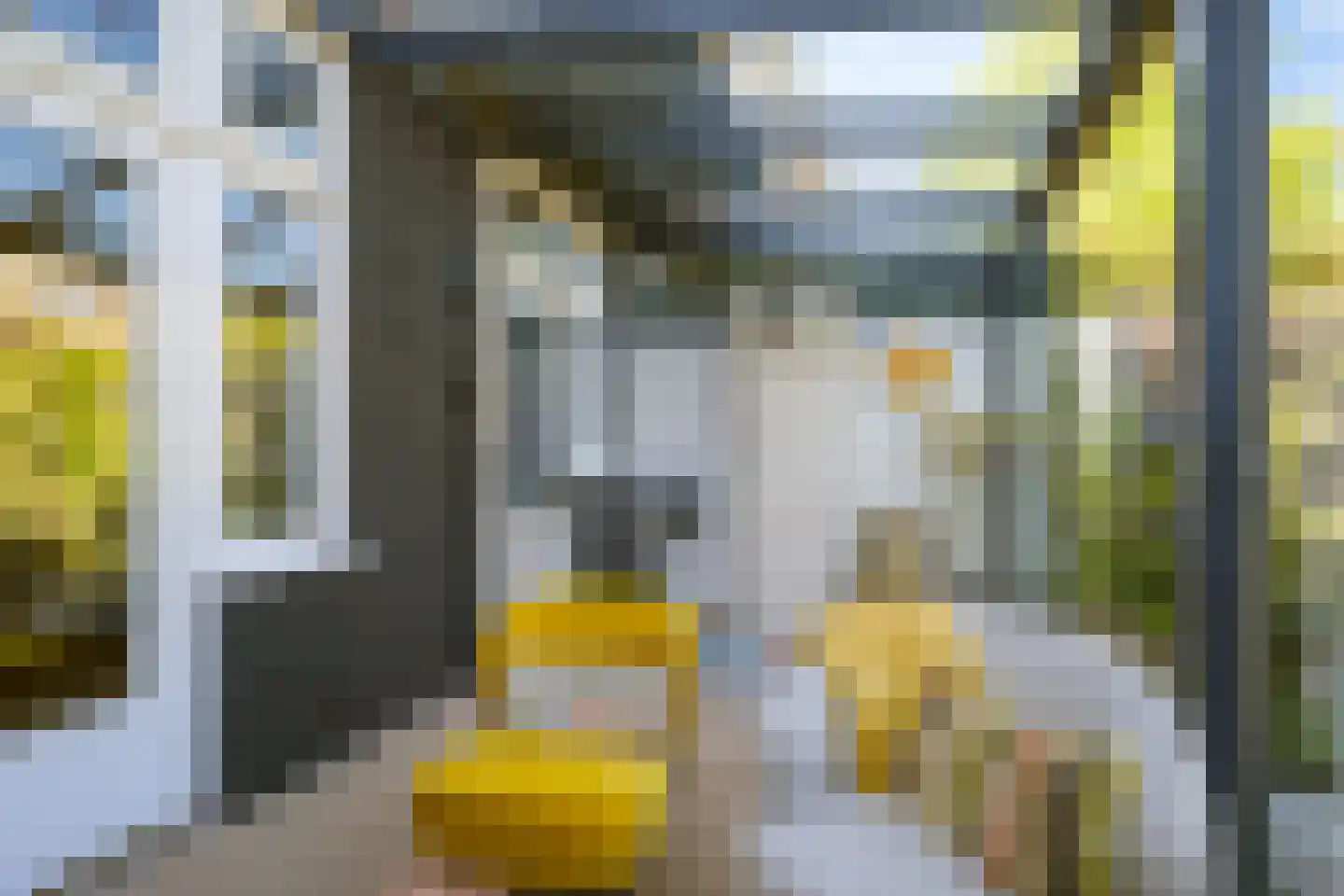 Vondelstraat 74 Breda thumbnail 39