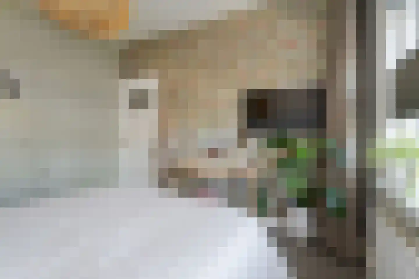 Vondelstraat 74 Breda thumbnail 61