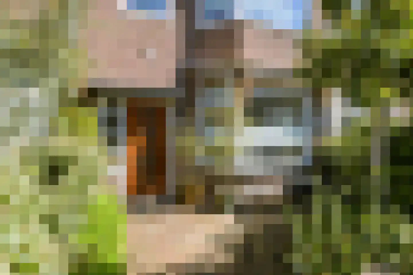Vondelstraat 74 Breda thumbnail 8