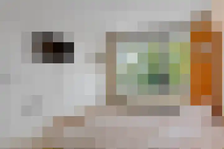 Vondelstraat 75 Maarssen thumbnail 10